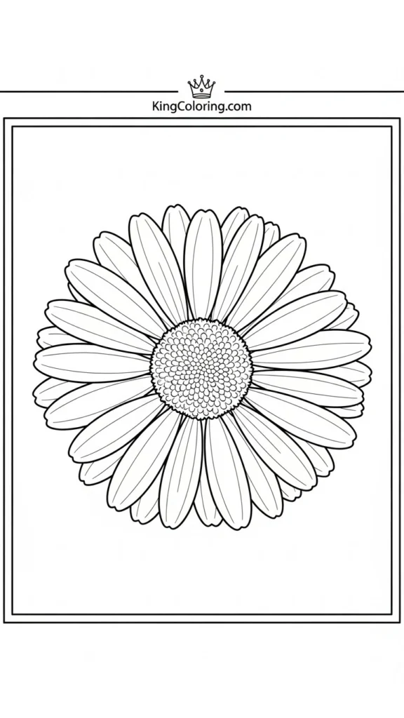a single large daisy with a round center and wide petals