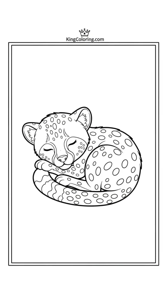 cheetah coloring pages depicting a small cheetah sleeping curled upcheetah coloring pages depicting a small cheetah sleeping curled up