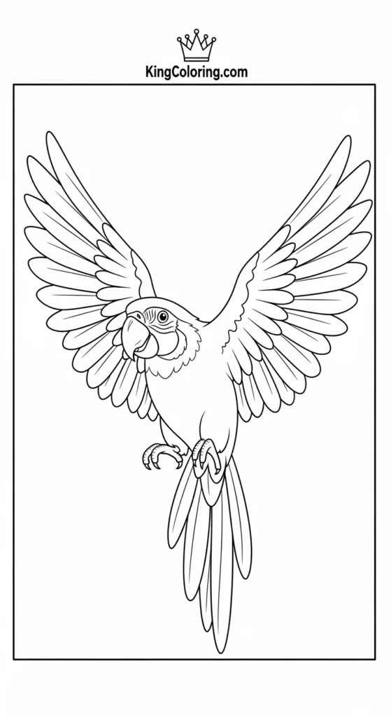 Pets coloring pages featuring a parrot spreading wings
