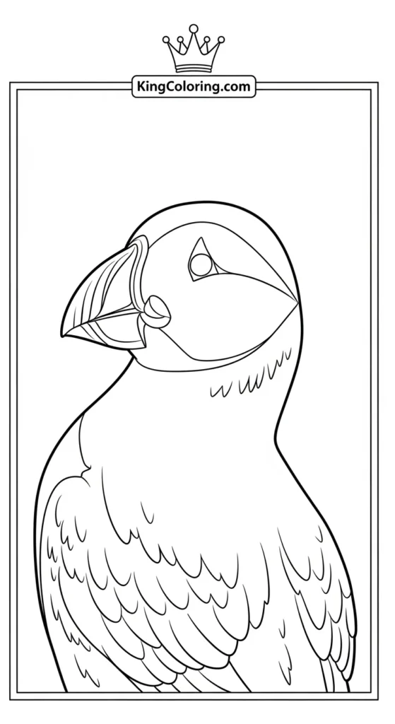 Puffin Looking Over Shoulder