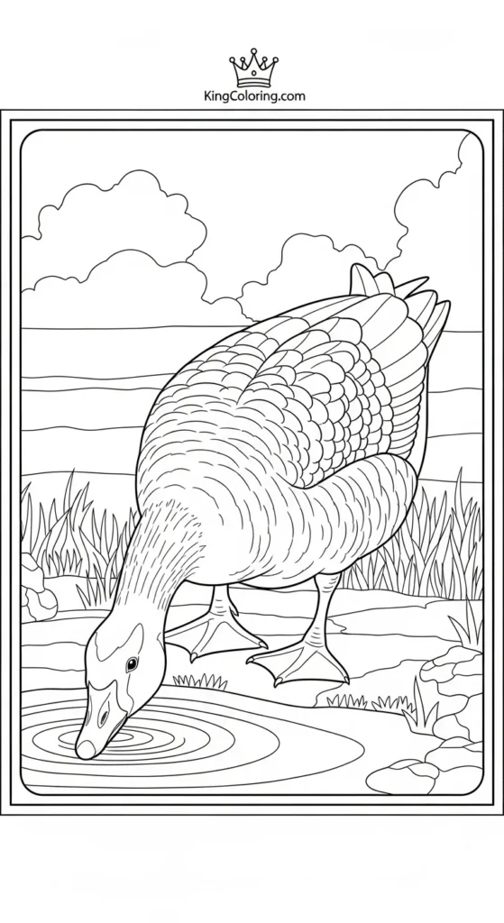 Goose Drinking Water Coloring Sheet