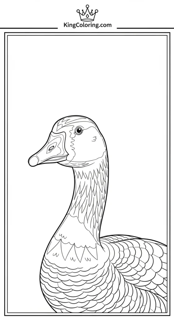 Goose Looking Over Shoulder Coloring Sheet