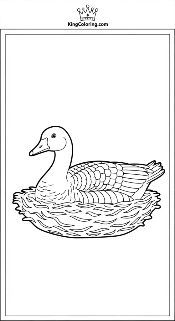 Goose Sitting On Nest Coloring Page