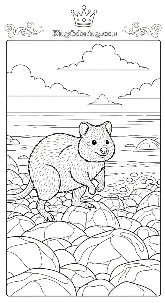 Quokka Walking Along Rocky Shore Printable Coloring Page.